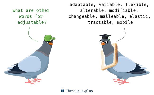 adjustable synonym
