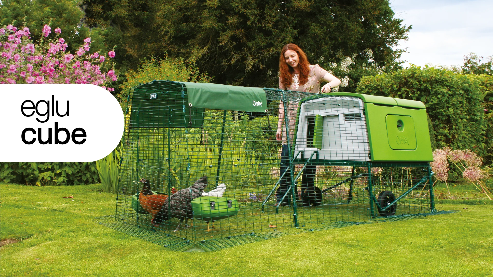 eglu cube chicken coop