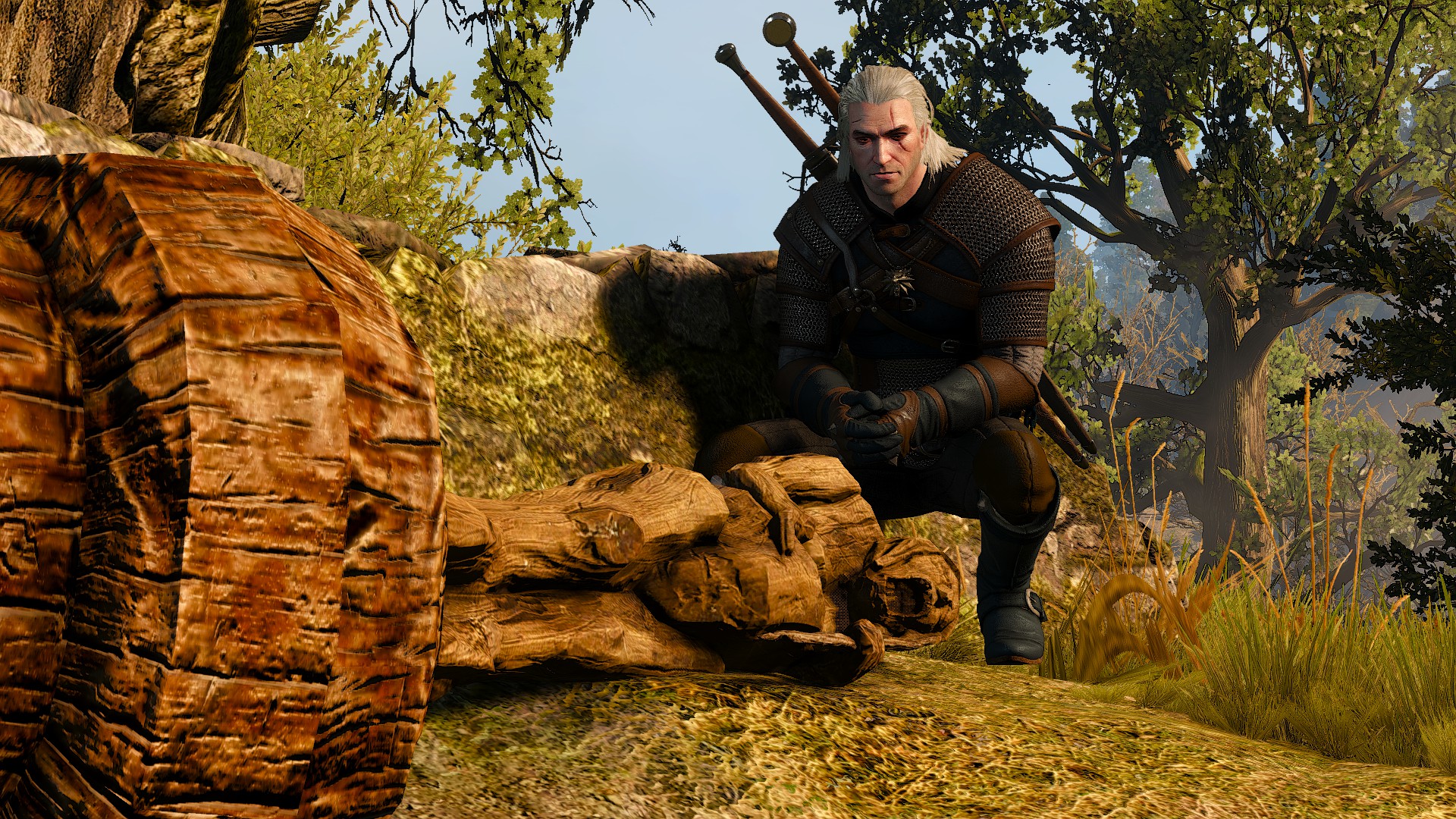 defender of the faith witcher 3