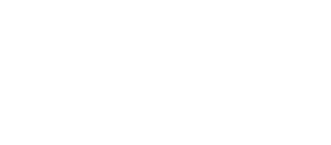 herndon animal medical center