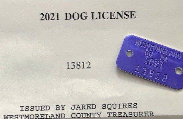 allegheny county dog license online