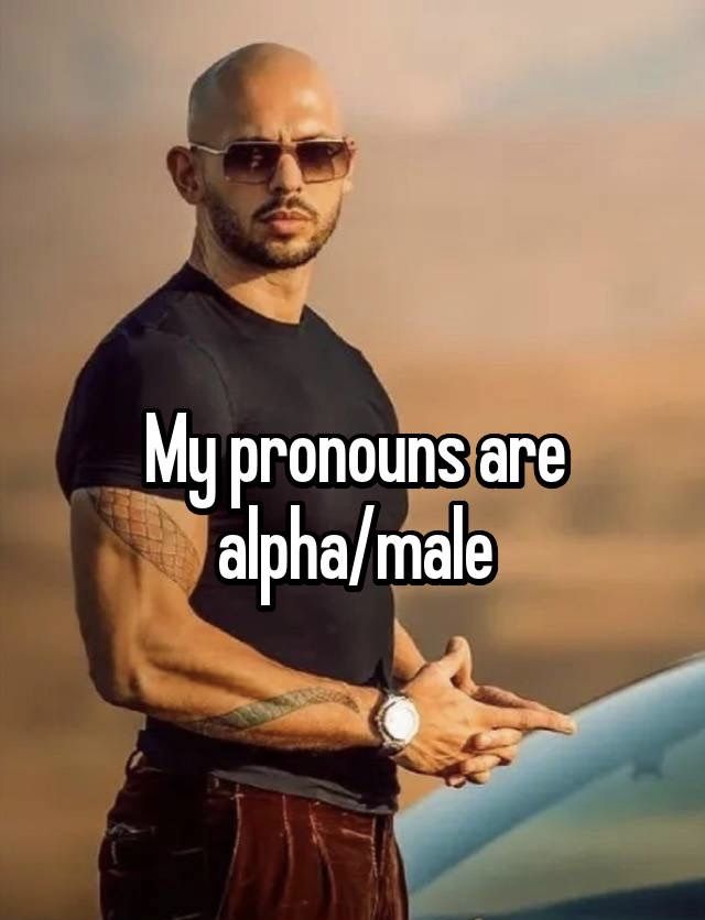 alpha male meme