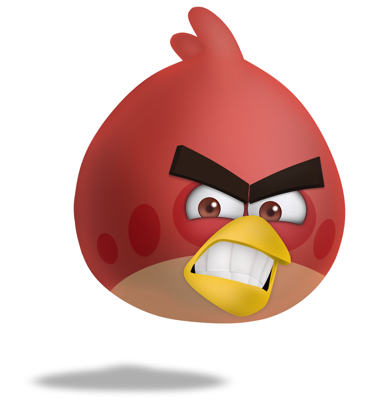 angry bird dp