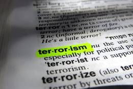 antonym of terror