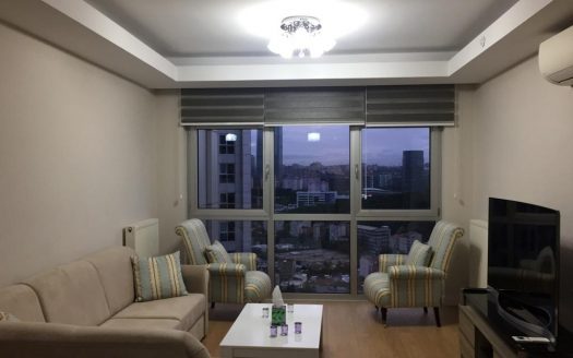 apartment for rent in istanbul per month