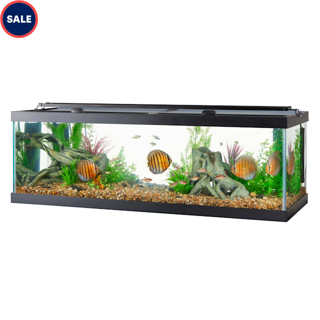 aquarium for sale near me