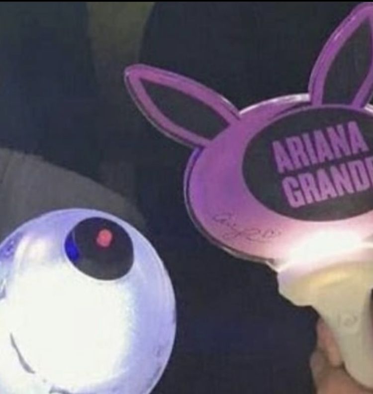 ariana grande lightstick