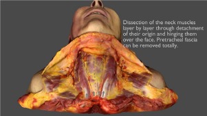 autopsy photos