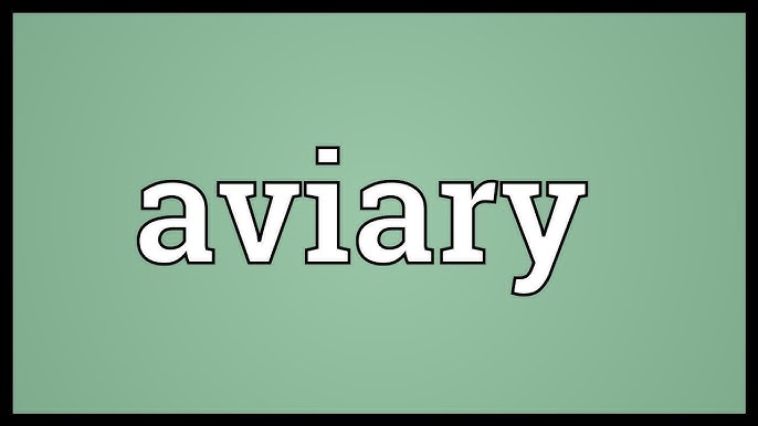 aviary pronunciation