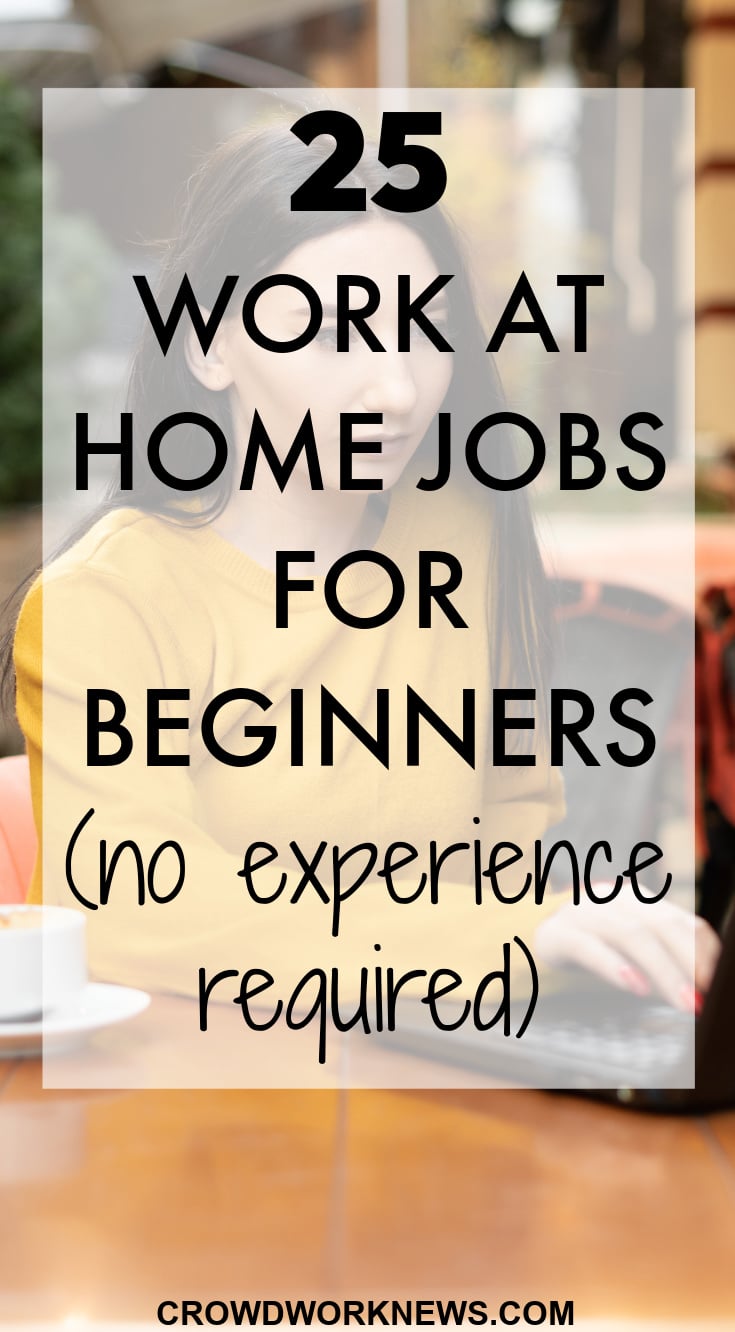 work from home jobs that pay well no experience