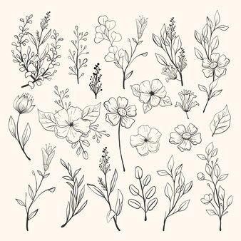 floral vector art