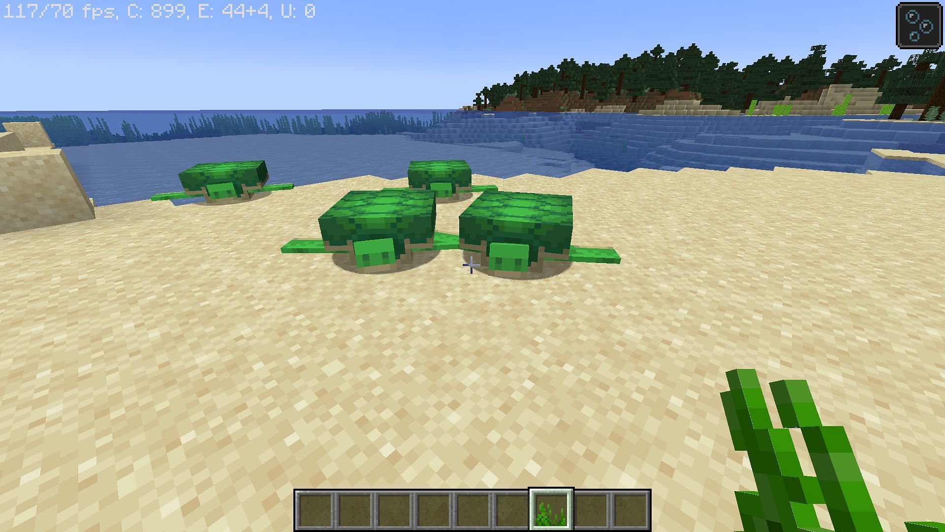 how to get turtle shell in minecraft