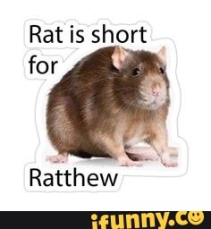 rat is short for ratthew