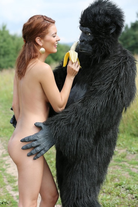 porn gorilla