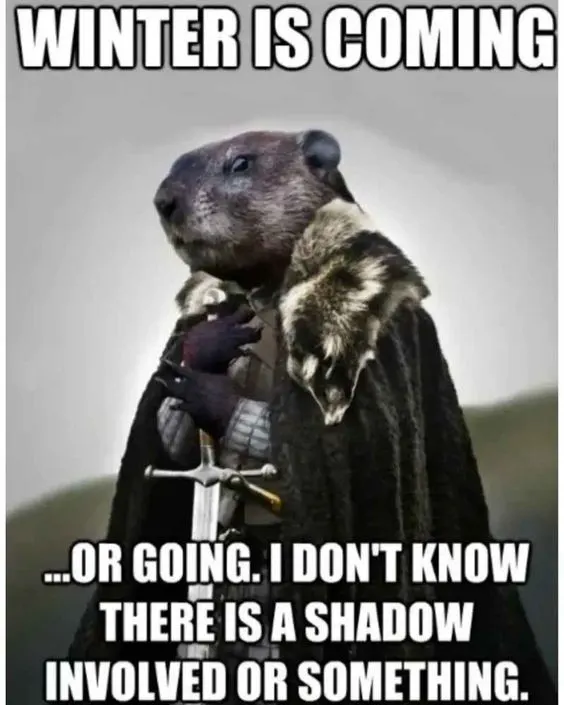 punxsutawney phil meme 2023