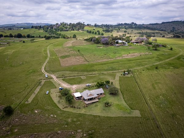 houses for sale camperdown