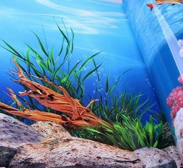 background poster for fish tank