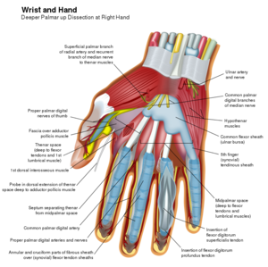 cellulitis of left hand icd 10