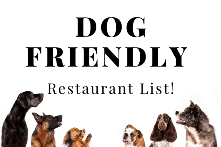 pet friendly restaurants near me