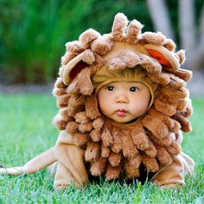 baby lion costume