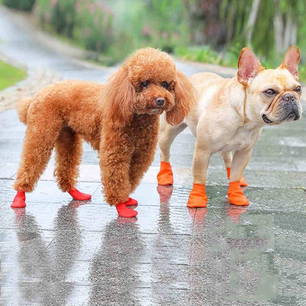 balloon dog booties