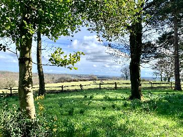 bbc weather caterham surrey