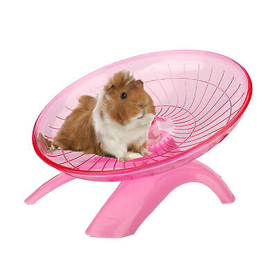 guinea pigs wheel