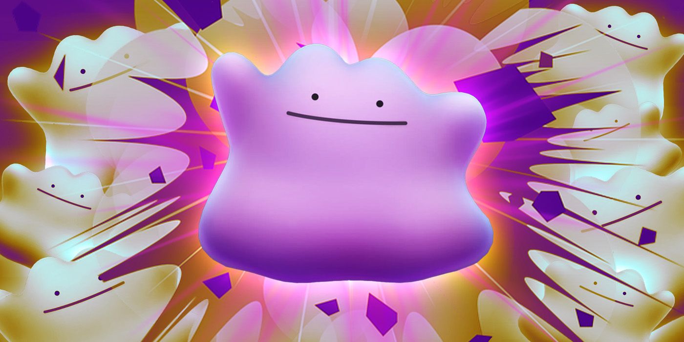 ditto november 2023