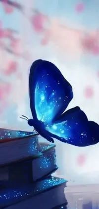 beautiful blue butterfly wallpaper