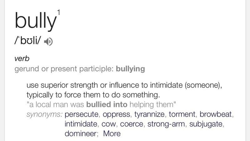 being bullied synonym