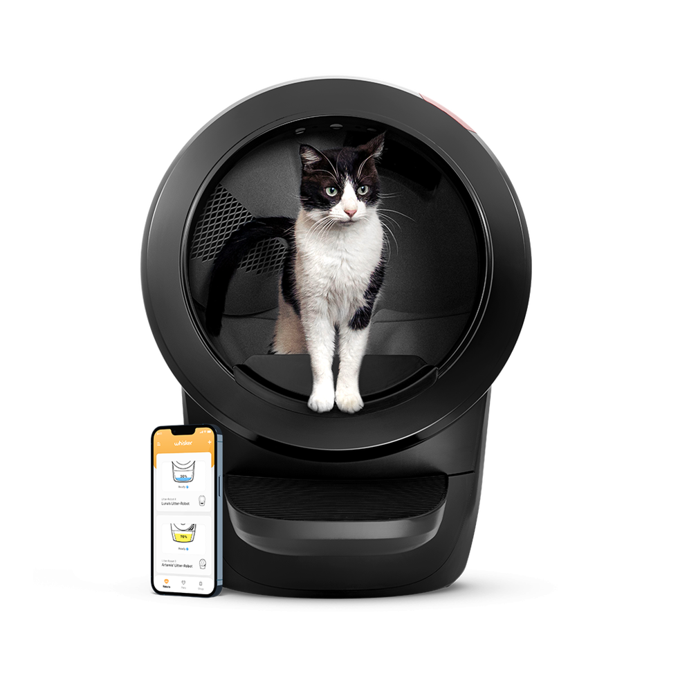 best automatic cleaning litter box