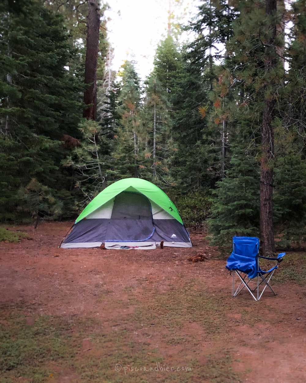 best camping beds for bad backs