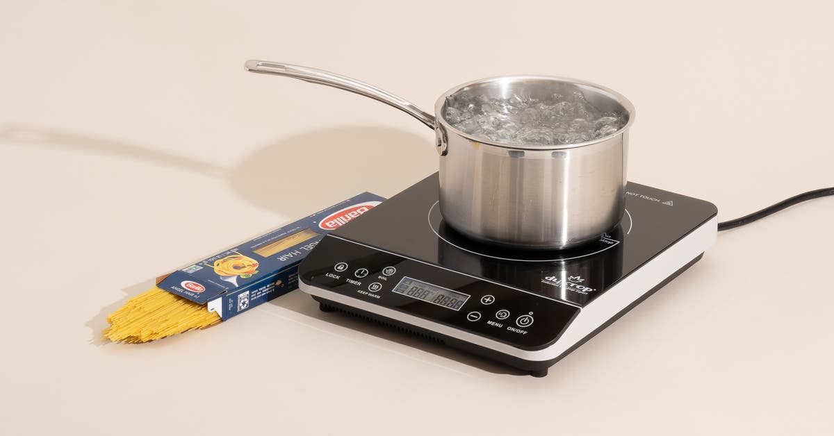 best portable induction cooker