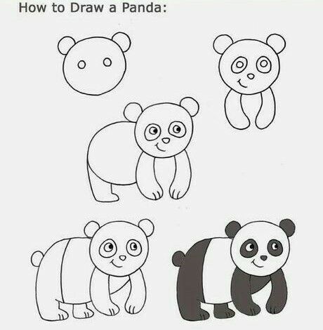 paso como dibujar un oso panda