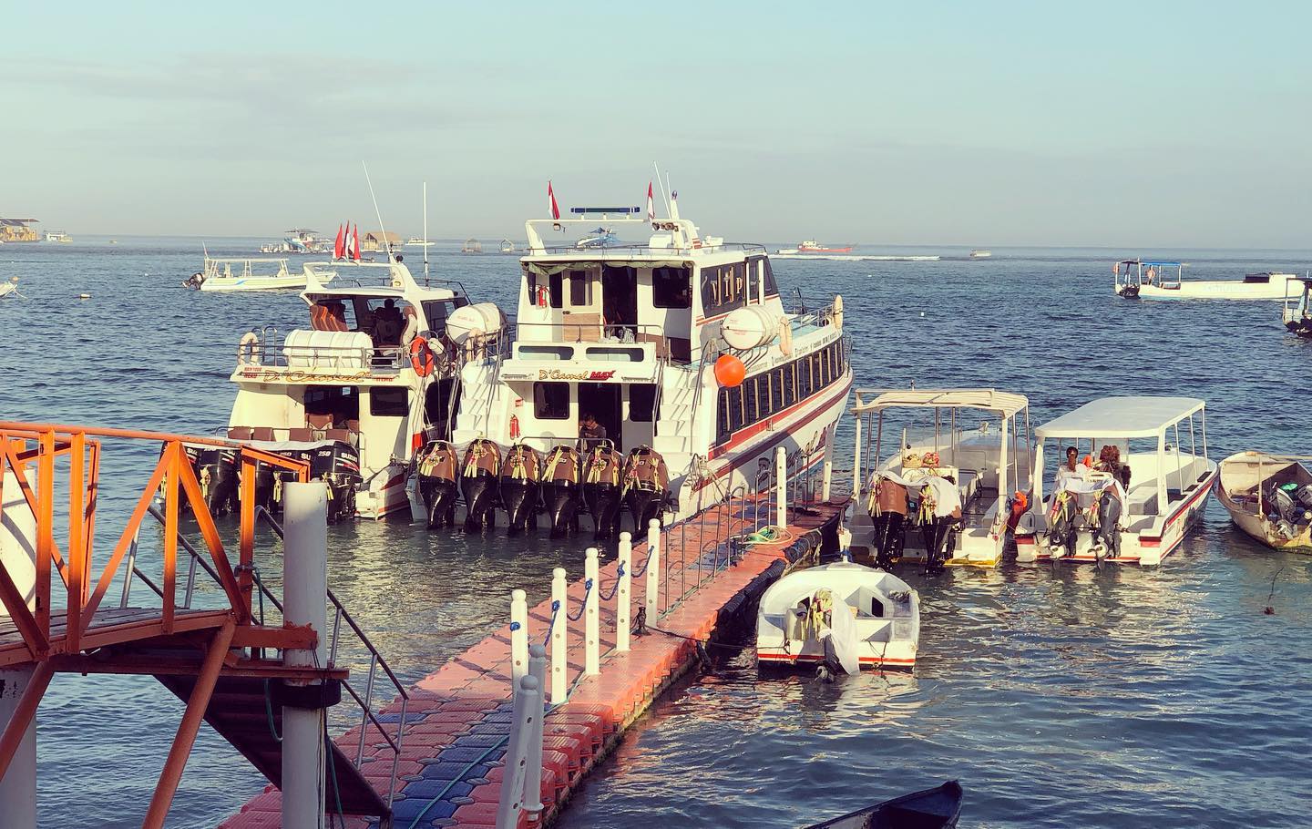 d camel fast ferry