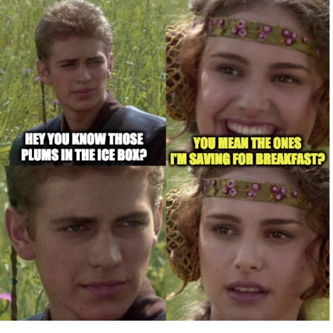 padme anakin meme