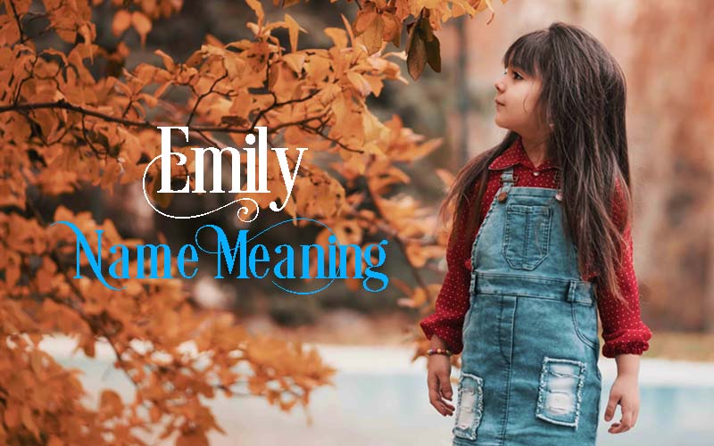 biblical meaning of emily