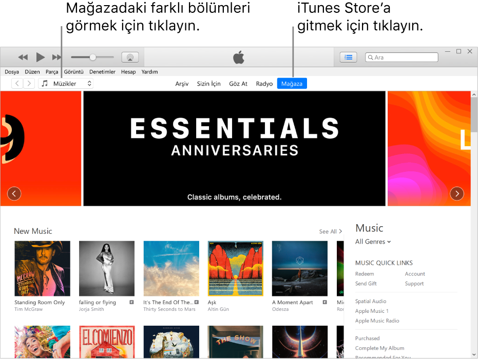 bilgisayara apple store nasıl indirilir