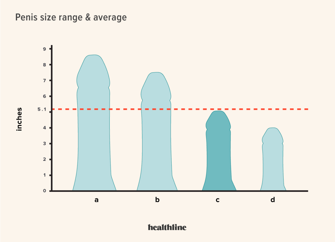 black penis length