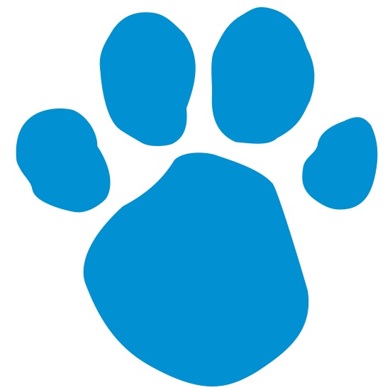 blues clues paw print