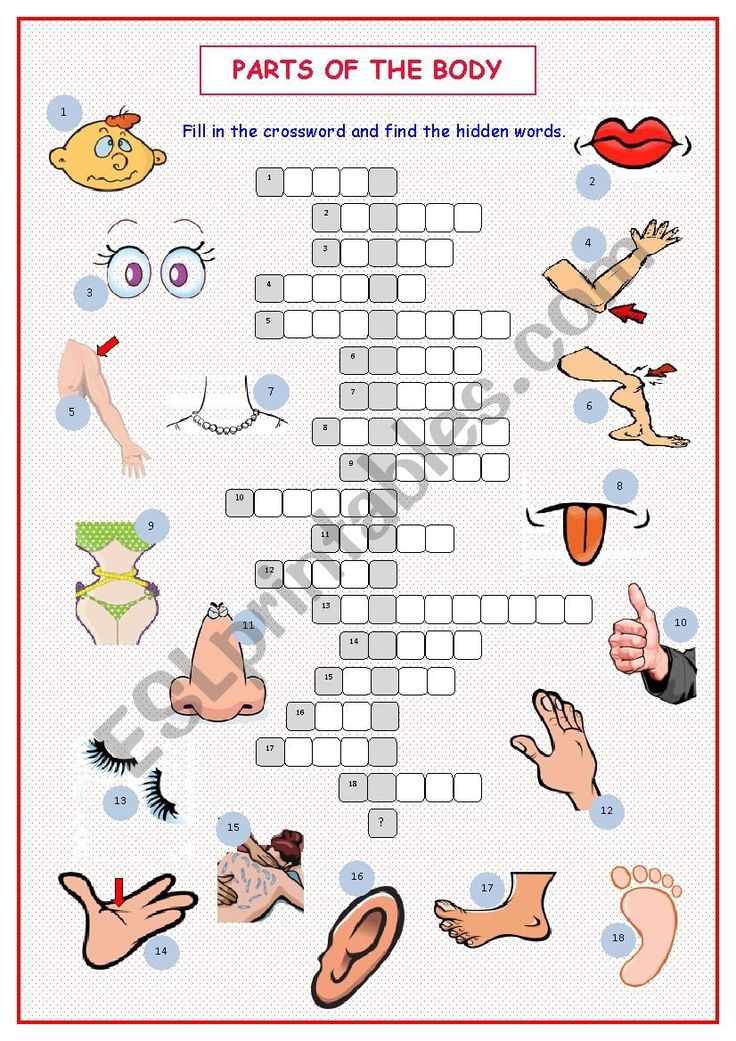 body parts crossword