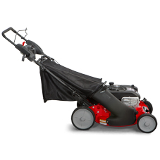 briggs & stratton modelos