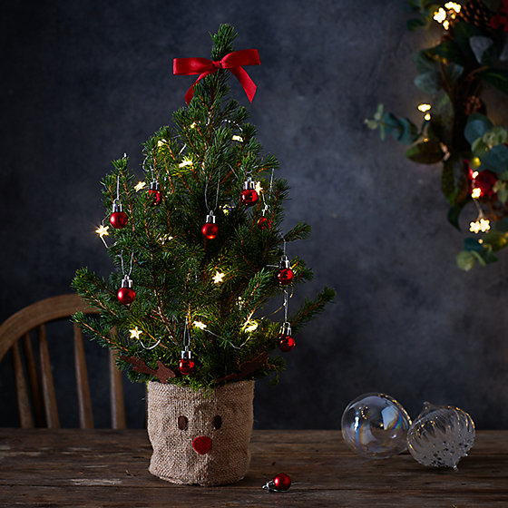 miniature christmas tree lights