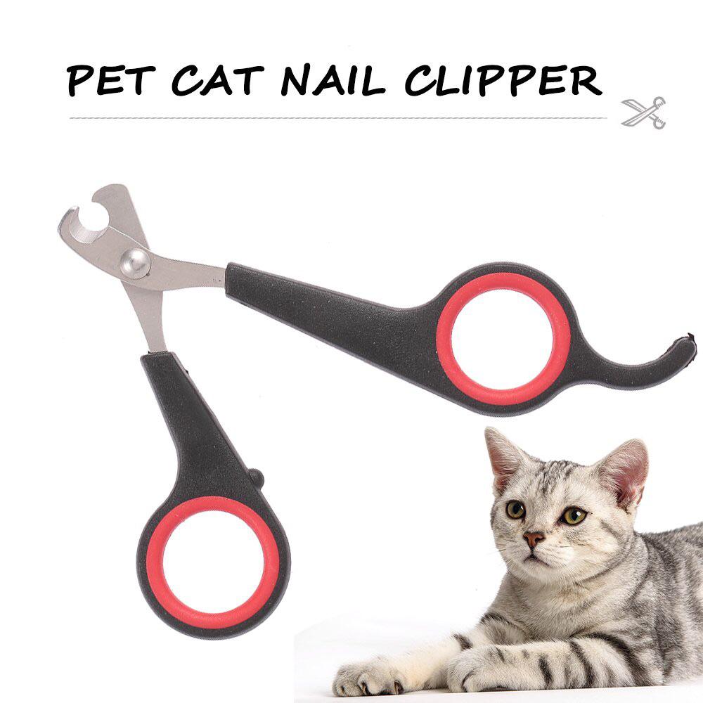 can you use human nail clippers on cats