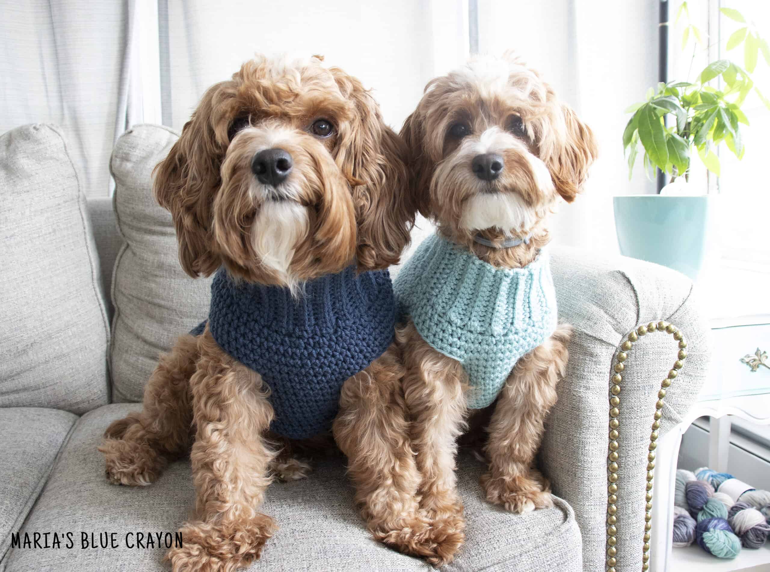 dog coat crochet pattern free