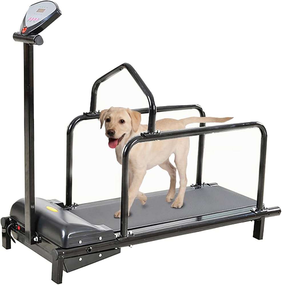 self propelled dog treadmill