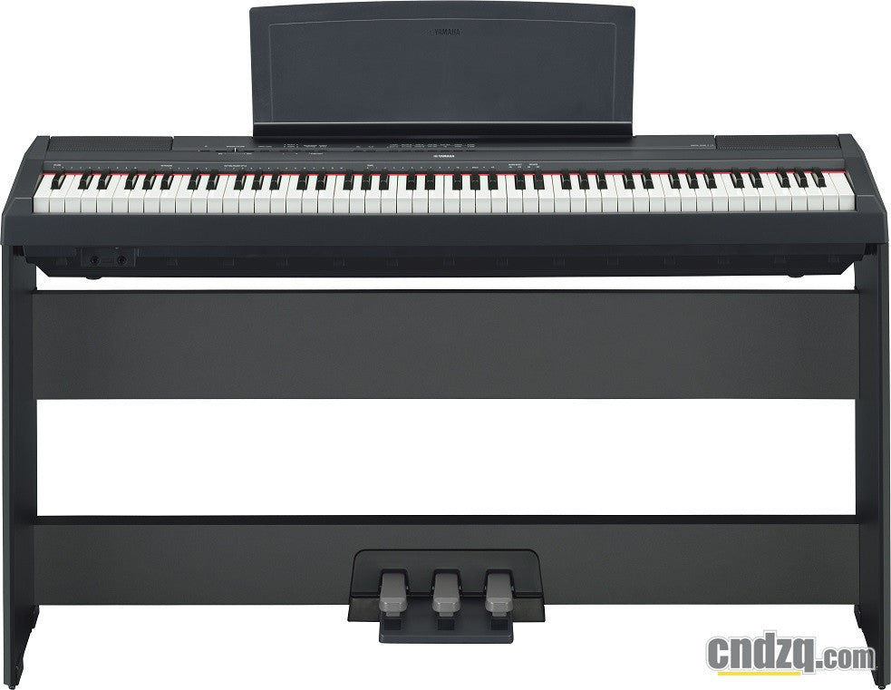 yamaha p115