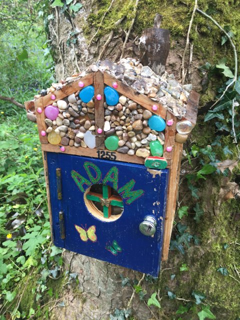 fairy hq on the enchanted trail