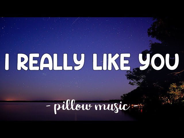 i really like you song