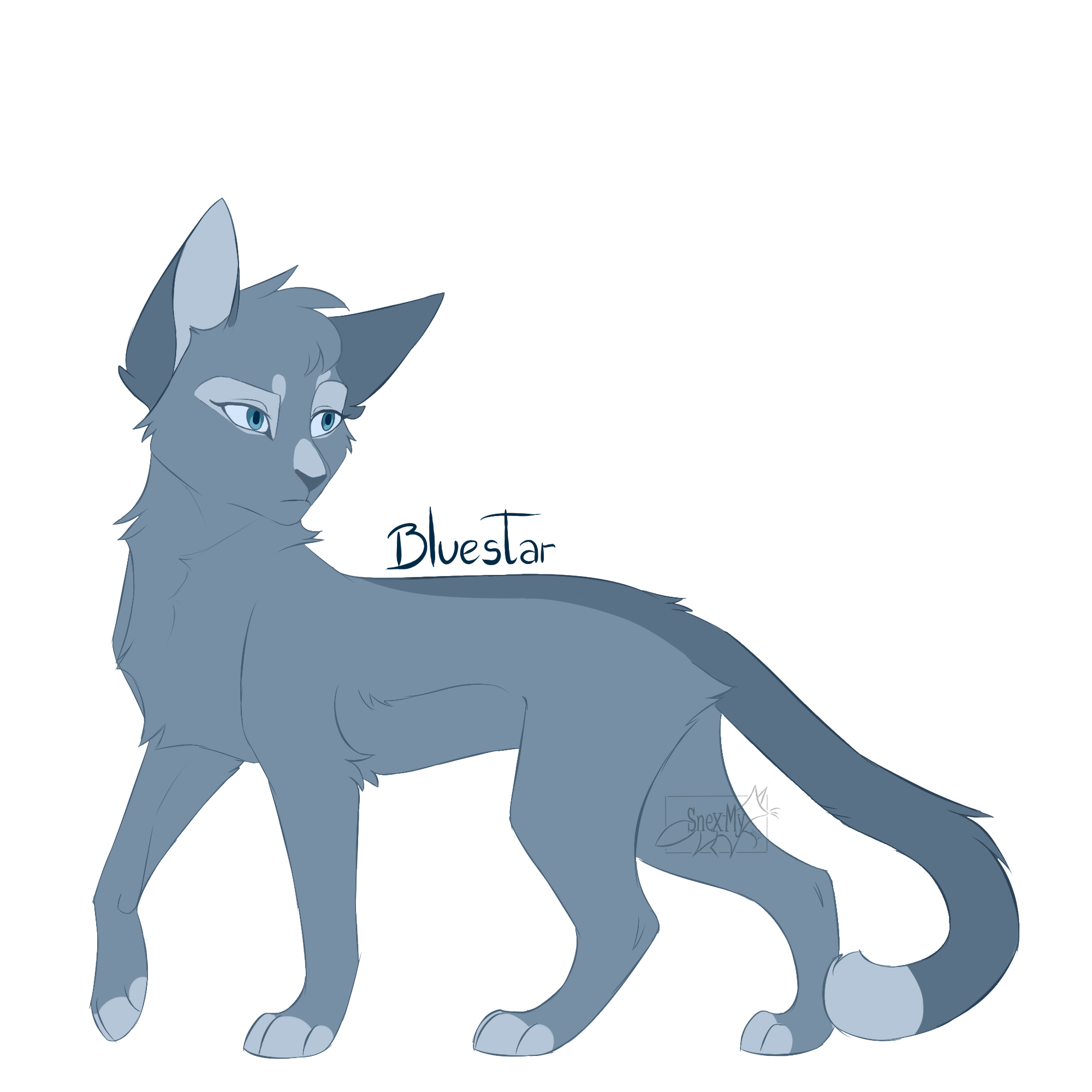 warrior cats bluestar